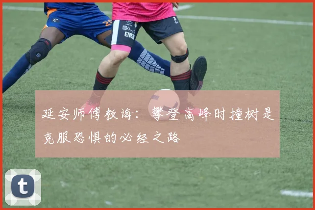延安师傅教诲：攀登高峰时撞树是克服恐惧的必经之路