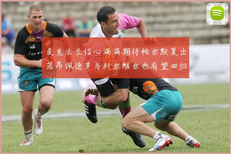 麦克法兰信心满满期待帕尔默复出若昂佩德罗与科尔维尔也有望回归