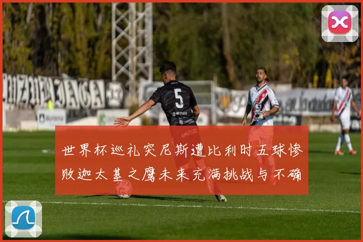 世界杯巡礼突尼斯遭比利时五球惨败迦太基之鹰未来充满挑战与不确定性